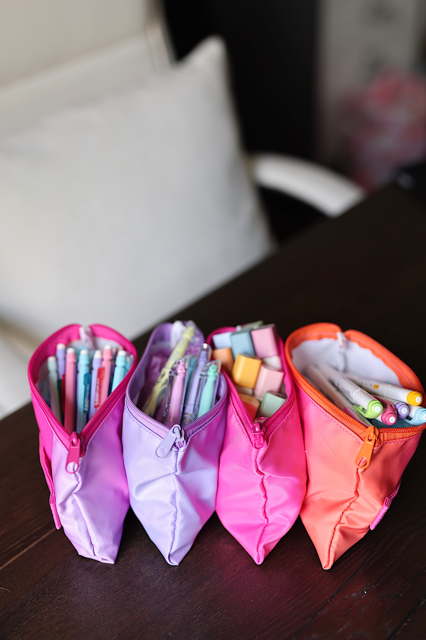 Expandable Organizer-Palm Springs
