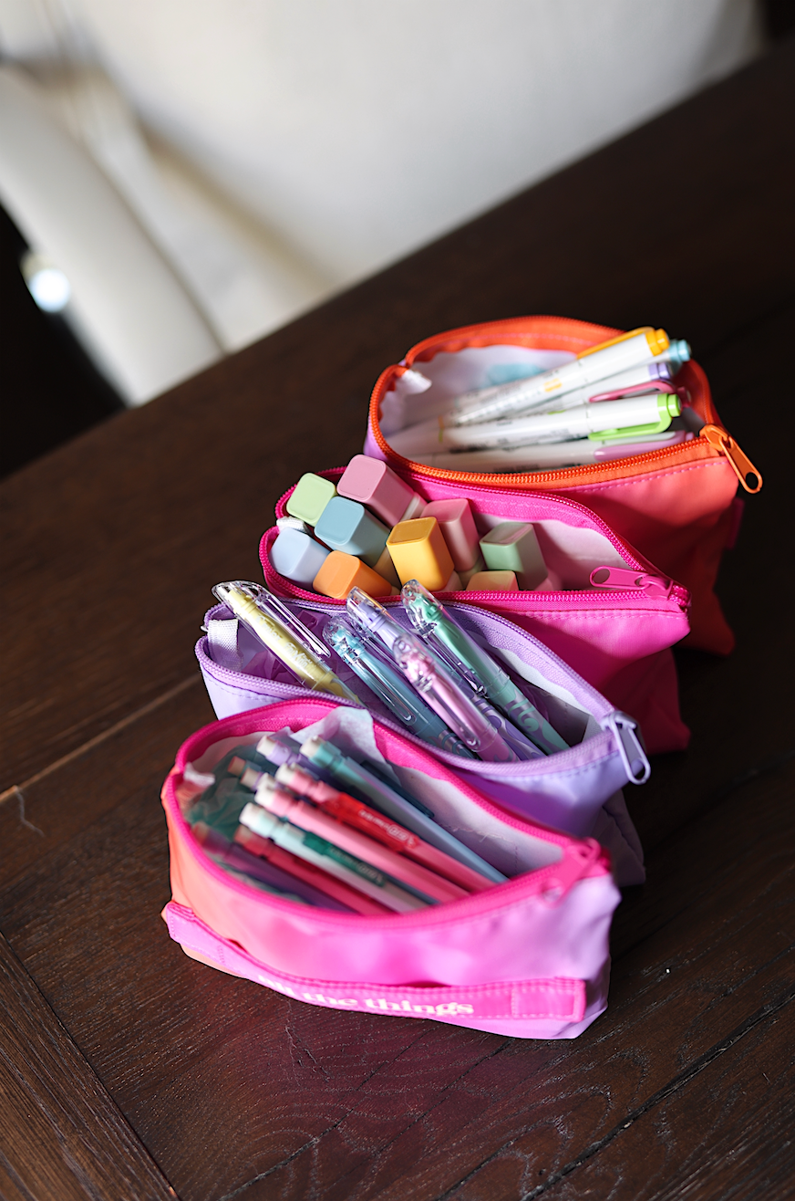 Expandable Organizer-Palm Springs